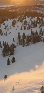 Snowy forest with golden sunset casting warm light.