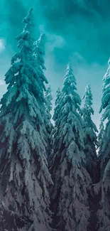 Snowy trees under teal blue sky, serene winter forest landscape.