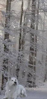 White wolf in a snowy forest scene under soft winter light.