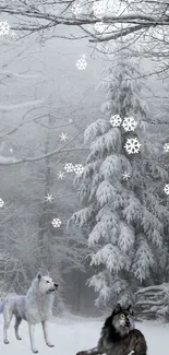 Two wolves in a snowy forest, framed by trees, in winter scene.