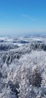 Aerial view of a snowy winter forest under a clear blue sky.