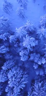 Aerial view of snowy forest creating a serene winter landscape.