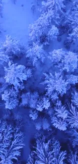 Aerial view of snow-covered forest in winter.