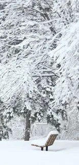 Snow-covered bench in a serene winter forest scene.