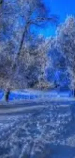 Snow-covered trees with vibrant blue sky in a winter landscape.