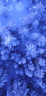 Blue winter forest with frosty trees.