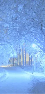 Ethereal blue winter path through snow-laden forest.