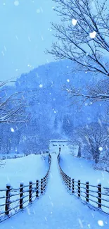 Serene winter bridge covered in snow with gentle snowfall and frosty trees.