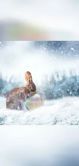 Adorable bunny in snowy winter scene with sparkles and bubbles.