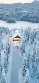 Winter cabin surrounded by snowy trees under a serene sky.