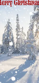 Snowy forest with 'Merry Christmas' text under sunlight.