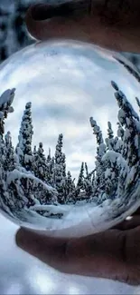 Crystal ball captures a snowy forest scene with trees under a blue sky.