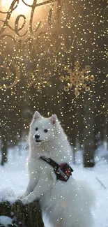 Fluffy white dog in a snowy forest with golden snowflakes.