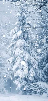 Snow-covered forest in icy blue winter wonderland.