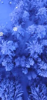 Aerial view of snowy forest with blue tones and frosted trees.