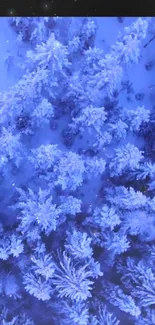 Aerial view of snow-covered forest in winter blue hues.