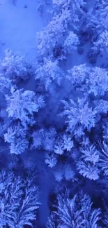 Aerial view of snow-covered forest in blue hues.