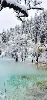 Snow covered lake with surrounding forest in a winter wonderland scene.