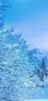 Serene winter landscape with snow-covered trees and a frozen lake under a blue sky.