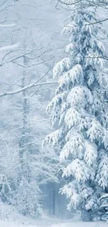 Snow-covered forest creating a serene winter wonderland scene.