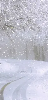 Snow-covered road through a serene winter forest.