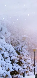 Serene winter park with snow-covered trees and lampposts.