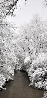 Snow-covered trees and river in winter scene.