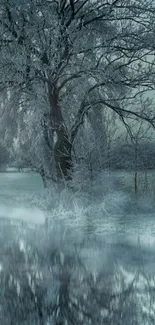 Serene winter landscape with frosted trees reflecting on a river.