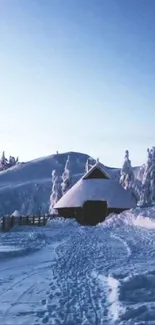 Snowy cabin surrounded by tranquil winter landscape.