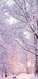 Snow-covered trees in a serene winter wonderland.