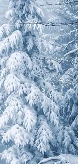 Snowy trees in a serene winter forest scene, perfect for mobile wallpaper.