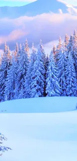 Snowy mountain landscape with frosty pine trees glowing in twilight.