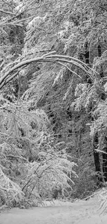 Snow-covered forest path in grayscale wallpaper.