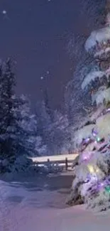 Snowy night with lit Christmas tree and stars.