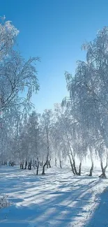 Frost-covered trees under a clear blue sky with snow on the ground, perfect for mobile.