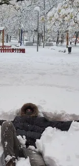 Person lying in snowy winter park surrounded by trees.