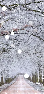 Snow-covered pathway under frosty trees in a winter wonderland setting.