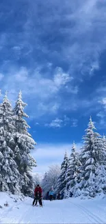 Snowy forest pathway under a vibrant blue sky.