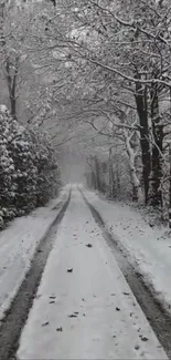 Snow-covered pathway in a serene winter landscape.