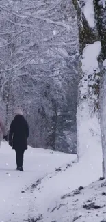 Two people walking on a snow-covered forest path.