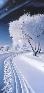 Serene winter landscape with snow-covered path and frosted trees.