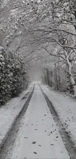 Snowy forest path wallpaper for mobile.