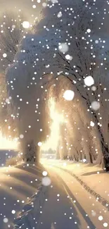 Snow-covered path with sunlight filtering through trees in winter.