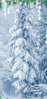 Snow-covered tree in winter forest wallpaper.