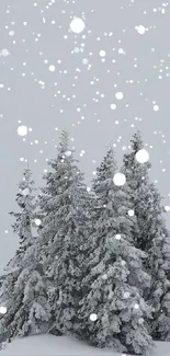 Snow-covered pine trees with gently falling snowflakes.