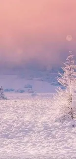 Snow-covered field with trees under pink sky.