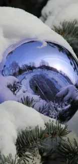 Shiny ornament reflecting snowy winter landscape.