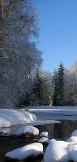 Snowy river landscape with frosty trees under a clear blue sky.