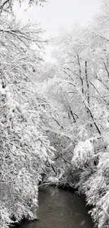 A peaceful snowy river winds through a winter wonderland of frosted trees.