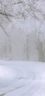 Snow-covered road through a winter forest.